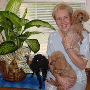 Sue J. - Bellville Care Companion