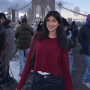 Aisha S., Babysitter in Mc Lean, VA with 0 years paid experience