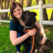 Allison K., Pet Care Provider in Mohawk, NY with 8 years paid experience