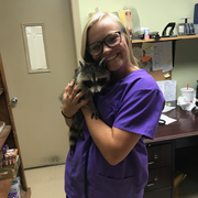Elizabeth E., Pet Care Provider in Starkville, MS 39759 with 5 years paid experience