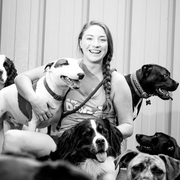 Shelby D., Pet Care Provider in Burlington, VT 05401 with 1 year paid experience
