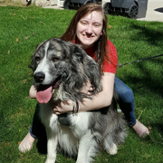 Kourtney S., Pet Care Provider in Brighton, MI 48116 with 1 year paid experience