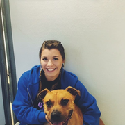 Haleigh W. - Downingtown Babysitter