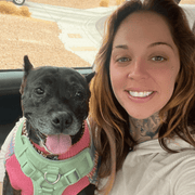 Chandler P., Pet Care Provider in North Las Vegas, NV with 6 years paid experience