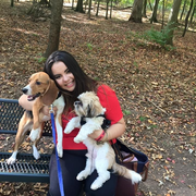 Allison C., Pet Care Provider in Elizabeth, NJ with 1 year paid experience