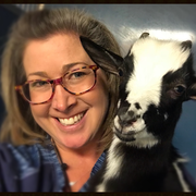Jody K. - Havana Pet Care Provider