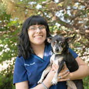Elyssia Y., Pet Care Provider in Kansas City, MO 64118 with 3 years paid experience
