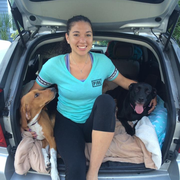 Rebecca M., Pet Care Provider in Flint, MI 48504 with 3 years paid experience