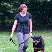 Sara S., Pet Care Provider in Willimantic, CT with 2 years paid experience