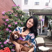 Jiamin A., Pet Care Provider in New York, NY 10017 with 12 years paid experience