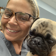 Nicole B., Pet Care Provider in Wappingers Falls, NY with 15 years paid experience
