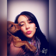 Ali S., Pet Care Provider in Gaylordsville, CT with 10 years paid experience