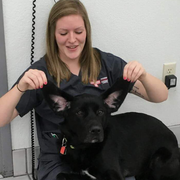 Mariah F., Pet Care Provider in Wichita, KS 67210 with 3 years paid experience