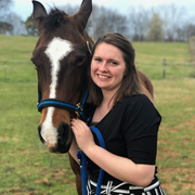 Jessica B., Pet Care Provider in Lake City, TN with 4 years paid experience