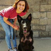 Gabrielle S., Pet Care Provider in Broadview Heights, OH 44147 with 2 years paid experience