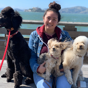Nadine J., Pet Care Provider in San Jose, CA with 2 years paid experience