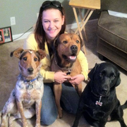 Madison R., Pet Care Provider in North Tonawanda, NY 14120 with 1 year paid experience