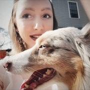 Jennifer S., Pet Care Provider in Westport, CT with 12 years paid experience