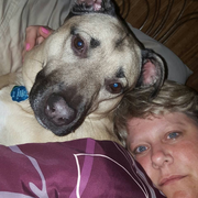 Sheila S., Pet Care Provider in Sewickley, PA with 10 years paid experience