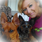 Jill S., Pet Care Provider in Warren, OH 44483 with 30 years paid experience
