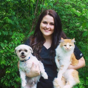 Allie B., Pet Care Provider in Lookout Mountain, GA with 3 years paid experience