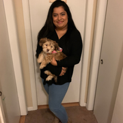 Karla S., Babysitter in Pownal, ME 04069 with 6 years of paid experience