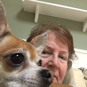 Carol D., Pet Care Provider in Rockledge, FL with 1 year paid experience