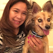 Emily J., Babysitter in Chandler, AZ with 8 years paid experience