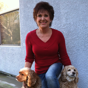Lorrie B., Pet Care Provider in Redding, CA 96003 with 5 years paid experience