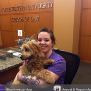 Caitlin L., Pet Care Provider in Chicago, IL 60618 with 1 year paid experience