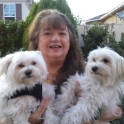 Michaela C., Babysitter in Pleasanton, CA with 30 years paid experience