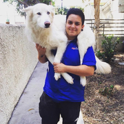 Alice V., Pet Care Provider in Van Nuys, CA 91406 with 5 years paid experience