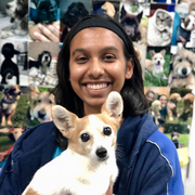 Allison K., Pet Care Provider in Pompano Beach, FL 33067 with 3 years paid experience