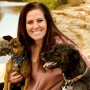 Amanda M., Pet Care Provider in Fort Collins, CO with 1 year paid experience
