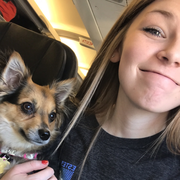 Brynna D. - Clinton Pet Care Provider