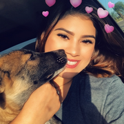 Bridget M. - Edinburg Babysitter