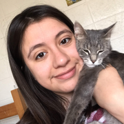 Karen Q., Pet Care Provider in Beloit, WI with 1 year paid experience