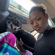 Montee S., Nanny in 63051 with 10 years of paid experience
