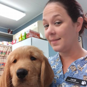 Sheri B., Pet Care Provider in Saint Petersburg, FL with 19 years paid experience