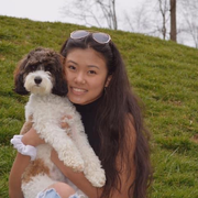 Mei A., Pet Care Provider in Leesburg, VA 20175 with 3 years paid experience