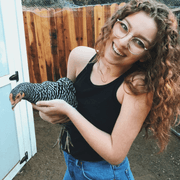 Jillian H., Babysitter in Calabasas, CA with 2 years paid experience