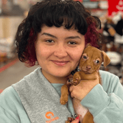 Samantha B., Pet Care Provider in Stony Point, NY with 10 years paid experience