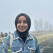 Nur K., Babysitter in Denver, CO with 0 years paid experience