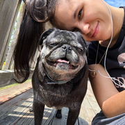Amanda M., Pet Care Provider in Tewksbury, MA 01876 with 3 years paid experience