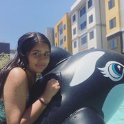 Madeline T., Pet Care Provider in Tolleson, AZ with 3 years paid experience