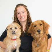 Jennifer M. - Cromwell Pet Care Provider