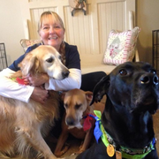 Tina K., Pet Care Provider in Berwick, PA 18603 with 4 years paid experience