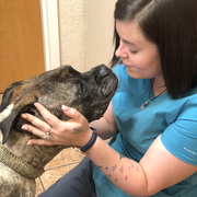 Kassandra W. - Homosassa Pet Care Provider