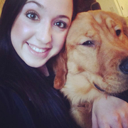 Morgan C. - Piqua Pet Care Provider
