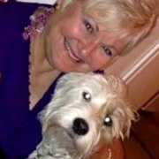 Bridget D., Pet Care Provider in Troy, MI 48083 with 5 years paid experience